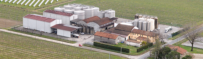 Produzione e commercio vini mosti e affini